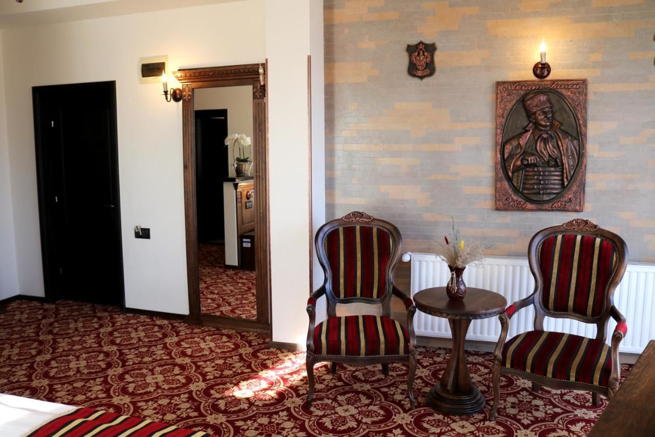 Отель Castel Transilvania Бая-Маре-48