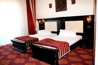 Отель Castel Transilvania Бая-Маре Двухместный номер Делюкс с 2 отдельными кроватями-1