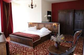 Отель Castel Transilvania Бая-Маре Двухместный номер Делюкс с 1 кроватью-10