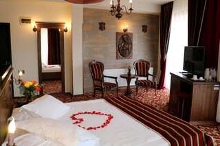Отель Castel Transilvania Бая-Маре Двухместный номер Делюкс с 1 кроватью-2