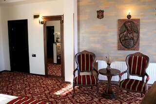 Отель Castel Transilvania Бая-Маре Двухместный номер Делюкс с 1 кроватью-13