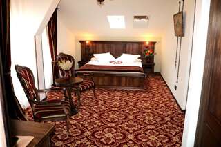 Отель Castel Transilvania Бая-Маре Двухместный номер Делюкс с 1 кроватью-3