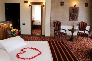 Отель Castel Transilvania Бая-Маре Двухместный номер Делюкс с 1 кроватью-5
